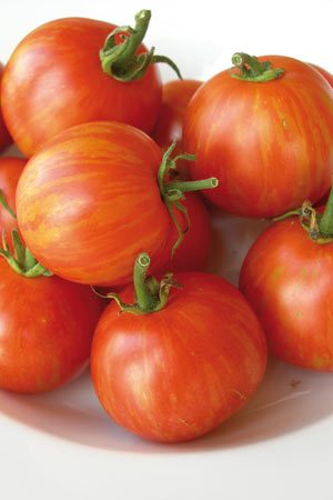 tigerella tomato