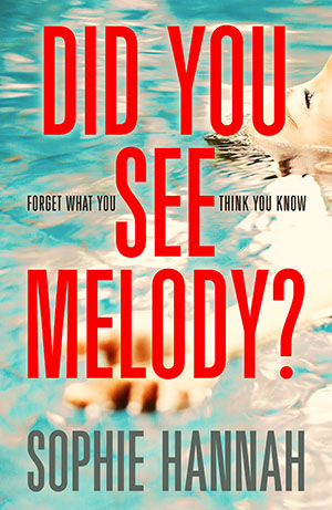 did you see melody book cover
