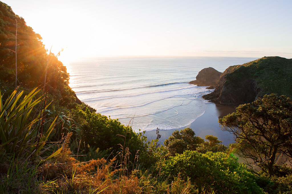 Between two iconic Auckland beaches - Anawhata and Piha - lies White’s Beach. You have to walk down a long, long drive to find it. But it’s definitely worth it.