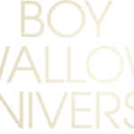 boy swallows universe