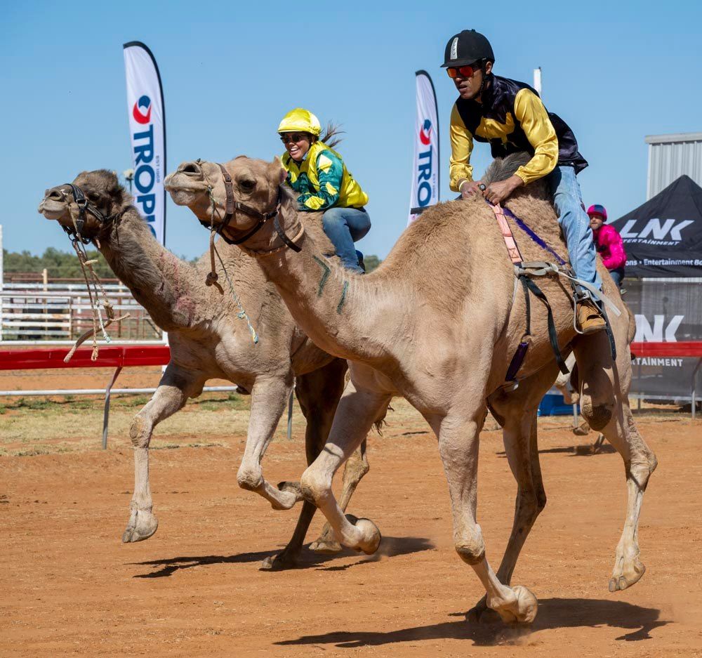 Boulia Camel Races