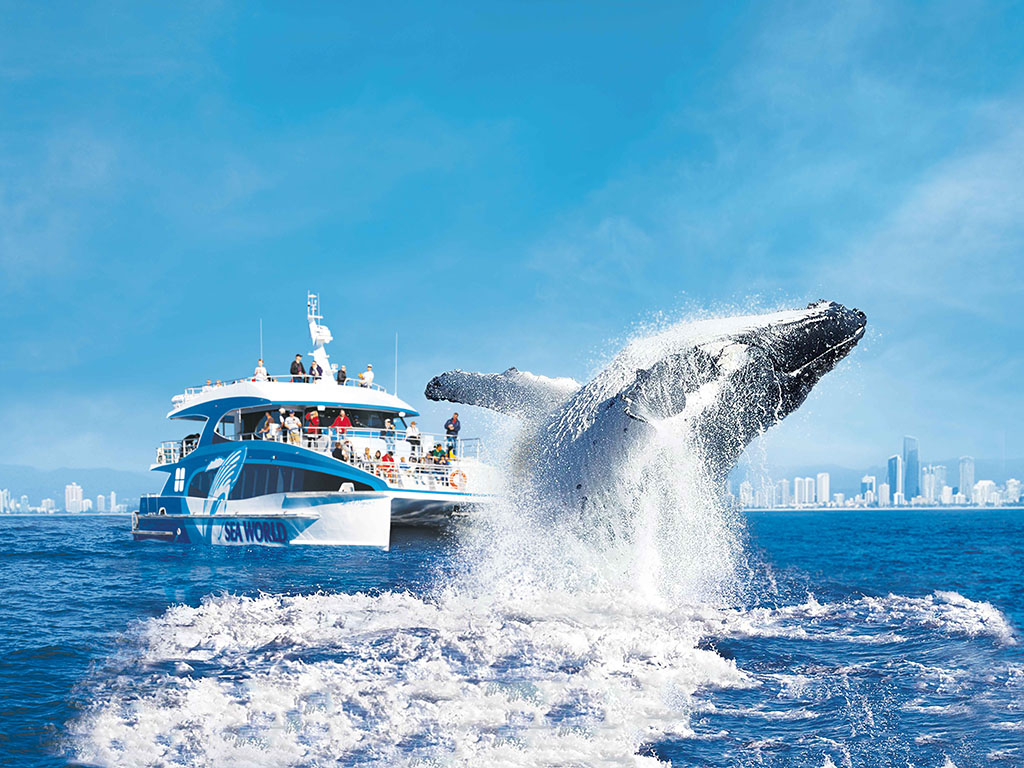 Sea World Cruises