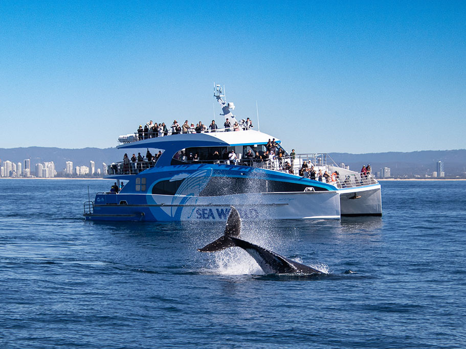 Sea World Cruises